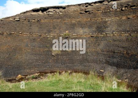 Erdrutsch durch die enthüllen Sedimentary Rock Layers in Faraday Gill an der Wainwrights Coast zum Coast Path bei Hartley im Yorkshire Dales National Park. Stockfoto