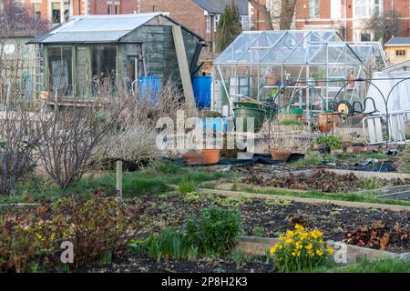 Gartenarbeit im Monat März. Blick über Grundstücke mit Gewächshaus, Schuppen und Hochbeeten, Vorbereitung auf den Frühling. Stockfoto