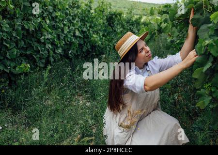 Junge, schöne Frau kümmert sich um den Weinberg. Ein hübsches, weißes Mädchen in beigefarbenem Kleid, weißem Hemd und Strohhut untersucht grüne Traubenbündel. Stockfoto