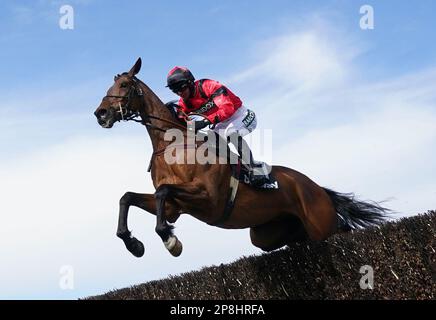 Dateifoto vom 08.-04-2022 von Ahoy Senor. Peter Scudamore erwartet, dass Ahoy Senor am nächsten Freitag beim Boodles Cheltenham Gold Cup antreten wird, während seine Vorbereitungen mit dem letzten Schliff versehen werden. Ausgabedatum: Donnerstag, 9. März 2023. Stockfoto