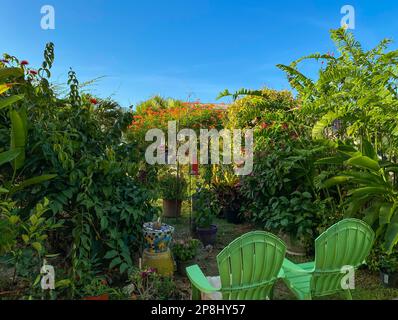 Tropischer Kolibri-Garten mit Morgensonnenlicht, das die Schatten mit zwei Stühlen am frühen Morgen beleuchtet. Stockfoto