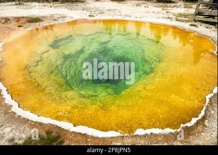 Morning Glory Pool Reflektiert Die Umliegenden Pines Im Yellowstone National Park Stockfoto