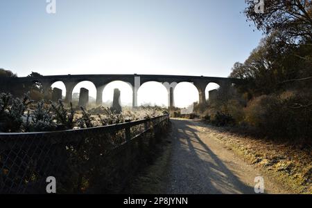 Carnon Viaduct, Bissoe, Cornwall - Fischaugen-Weitwinkelblick an einem sonnigen Wintermorgen Stockfoto
