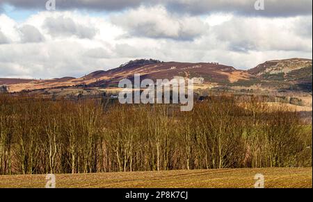 Dundee, Tayside, Schottland, Großbritannien. 9. März 2023. UK Weather: Nordostschottland erlebt Frühlingswetter, aber es ist sehr kalt, mit Temperaturen um die 3°C. Ein malerischer Landschaftsblick auf das Strathmore Valley, Sidlaw Hills und die umliegende Landschaft im ländlichen Dundee im März Sonnenschein. Kredit: Dundee Photographics/Alamy Live News Stockfoto