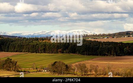 Dundee, Tayside, Schottland, Großbritannien. 9. März 2023. UK Weather: Nordostschottland erlebt Frühlingswetter, aber es ist sehr kalt, mit Temperaturen um die 3°C. Ein malerischer Landschaftsblick auf das Strathmore Valley, Sidlaw Hills und die umliegende Landschaft im ländlichen Dundee im März Sonnenschein. Kredit: Dundee Photographics/Alamy Live News Stockfoto