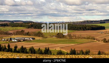 Dundee, Tayside, Schottland, Großbritannien. 9. März 2023. UK Weather: Nordostschottland erlebt Frühlingswetter, aber es ist sehr kalt, mit Temperaturen um die 3°C. Ein malerischer Landschaftsblick auf das Strathmore Valley, Sidlaw Hills und die umliegende Landschaft im ländlichen Dundee im März Sonnenschein. Kredit: Dundee Photographics/Alamy Live News Stockfoto