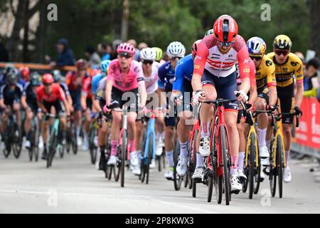 US¿ Quinn Simmons von Trek-Segafredo in Aktion während der Etappe 4 des Radrennens Tirreno-Adriatico, 219 km von Greccio nach Tortoreto, in Italien, Donnerstag, 09. März 2023. BELGA FOTO DIRK WAEM Stockfoto