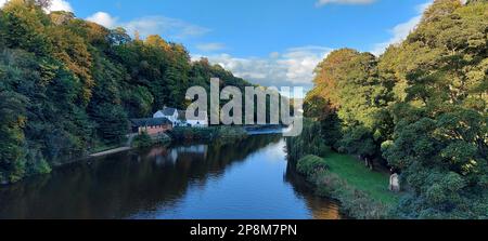 Eine ruhige Landschaft eines Parks mit einem malerischen Wasserweg und üppigem Laub. Stockfoto