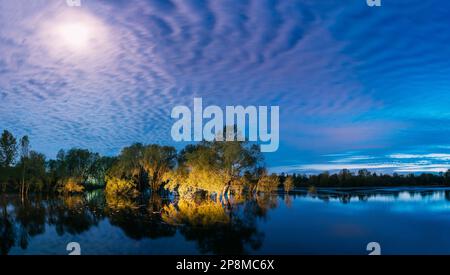 Panorama-Nachtlandschaft mit Bäumen, die im Wasser während der Frühlingsflut Hochwasser im Mondlicht stehen. Bäume Wälder im Wasser überfluten während Eines Frühlings Stockfoto