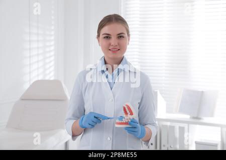 Zahnarzthelferin mit Kiefermodell und Zahnbürste in der Klinik. Mundpflegedemonstration Stockfoto