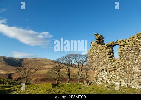 Hirendean Castle - ein Peel Tower aus dem 16. Jahrhundert. Stockfoto