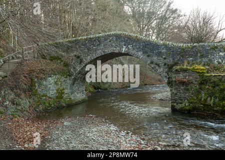 Die Cuddy Bridge eine einbeinige Pferdebrücke, die das Leithen-Wasser überquert, wurde 1701 erbaut Stockfoto