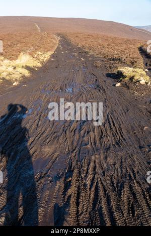 Fahrradreifenspuren in Schlamm, die zu Erosion in den Moorfoot Hills Schottland führen Stockfoto