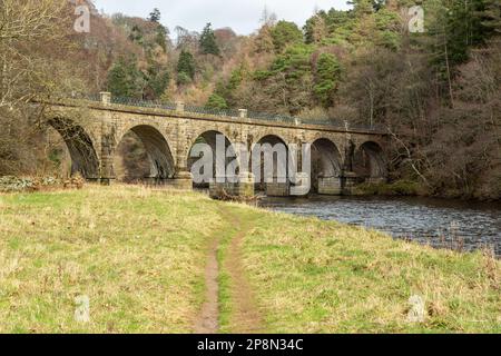 Neidpath Viaduct über dem Fluss Tweed bei Peebles Stockfoto