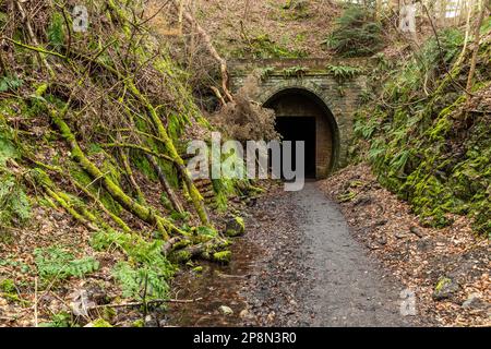 Peebles Railway Tunnel, Neidpath Tunnel bei Peebles, Schottland Stockfoto