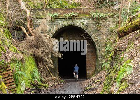 Peebles Railway Tunnel, Neidpath Tunnel bei Peebles, Schottland Stockfoto