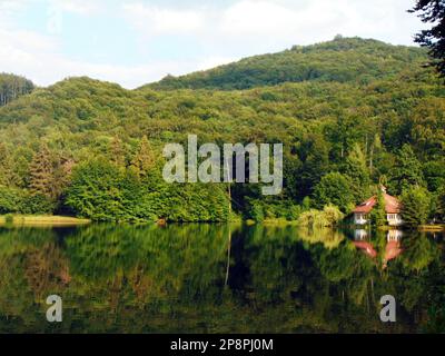 Bodi-See (Mogosa) und Berg im Kreis Maramures, Rumänien Stockfoto