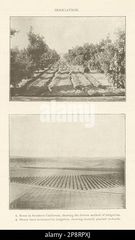 BEWÄSSERUNGSMETHODE Südkalifornien. Zurückgewonnene Wüstenplantagen 1907 Stockfoto