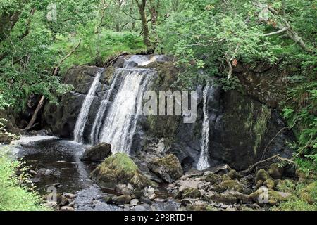 Kleiner Wasserfall in Waldlandschaft im schottischen Hochland Stockfoto