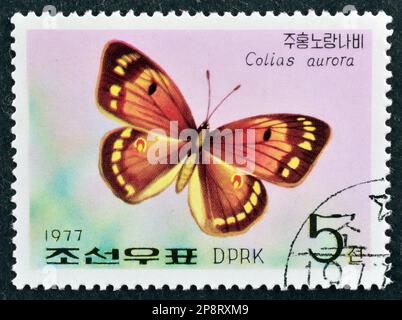 Von Nordkorea gedruckte Briefmarke mit Stempel für Schmetterling (Colias aurora) Stockfoto