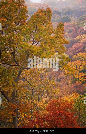 Wunderschöne Herbstlandschaft entlang des Hügels von New England Stockfoto