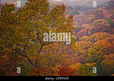 Wunderschöne Herbstlandschaft entlang des Hügels von New England Stockfoto