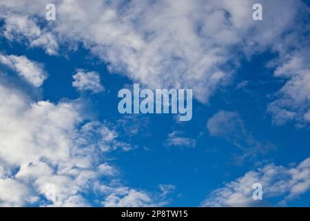 Wunderschöne Cumuluswolken vor einem perfekten blauen Sommerhimmel Stockfoto