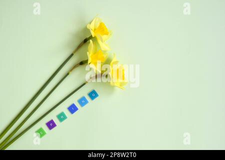 Gelbe Narzissen auf hellgrünem Hintergrund. WORTFRÜHLING ist neben Blumen angelegt. Draufsicht. Speicherplatz kopieren. Selektiver Fokus. Stockfoto