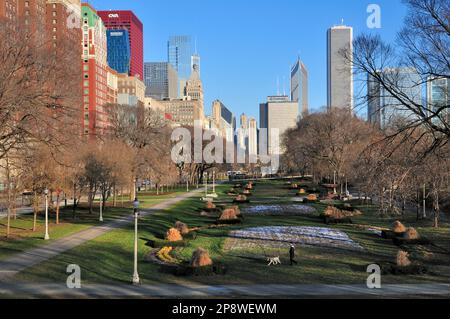 Chicago, Illinois, USA. Eine alleinstehende Frau führt ihren Hund im Grant Park an einem zügigen, aber hellen Dezembermorgen in Teilen der Skyline der Stadt über sich. Stockfoto