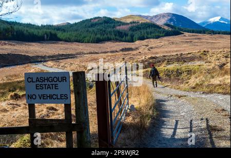 Hillwalker Walking in den schottischen Highlands, Glen Etive Munros von Clashgour Estate, Argyll & Bute Stockfoto
