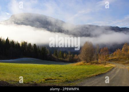Wunderschöne Berglandschaft mit Nebel im Herbst Stockfoto