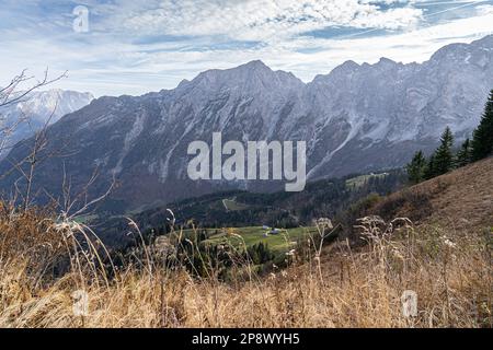 Riesige Bergkette, Wald und Wiesen der deutschen Alpen Stockfoto