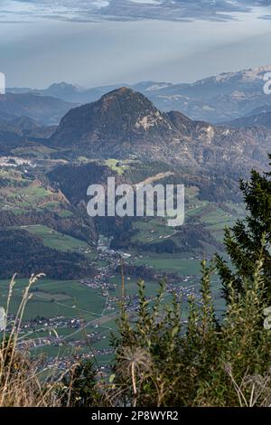 Riesige Bergkette, Wald und Wiesen der deutschen Alpen Stockfoto