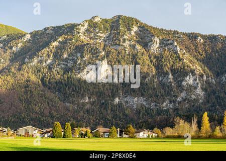 Riesige Bergkette, Wald und Wiesen der deutschen Alpen Stockfoto