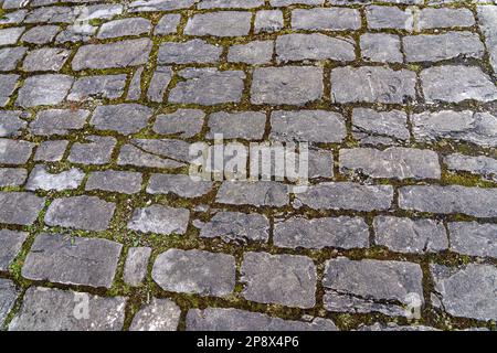 Straße mit grauen Pflastersteinen durch die historische Stadt Stockfoto