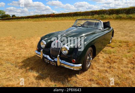 LITTLE GRANSDEN, CAMBRIDGESHIRE, ENGLAND – 28. AUGUST 2022: Klassisches Jaguar Coupé mit 1960 kg und absenkbarem Kopf, XK150 kg, parkt auf dem Feld. Stockfoto