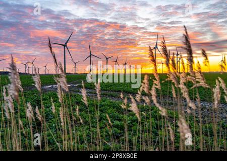 Windpark in der Nähe der ostfriesischen Stadt Norden, östlich der Stadt, Sonnenuntergang, Niedersachsen, Deutschland, Stockfoto