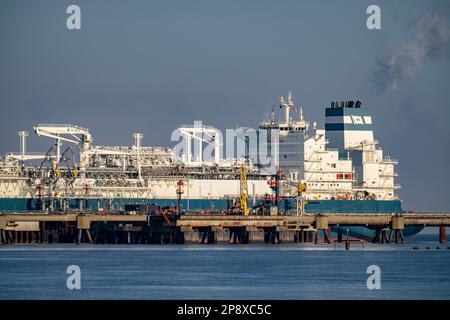 Die Höegh Esperanza, ein LNG-Lager- und -Verdampfungsschiff, ist am LNG-Terminal in der Nähe von Wilhelmshaven festgemacht und baut Schiffsverflüssigtes N.A. um Stockfoto