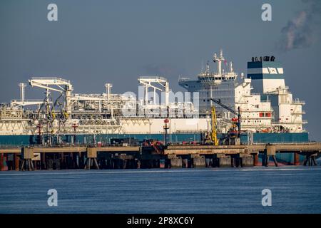 Die Höegh Esperanza, ein LNG-Lager- und -Verdampfungsschiff, ist am LNG-Terminal in der Nähe von Wilhelmshaven festgemacht und baut Schiffsverflüssigtes N.A. um Stockfoto