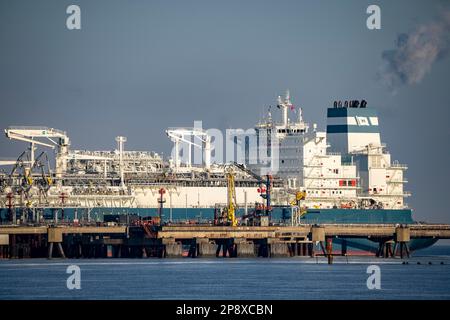 Die Höegh Esperanza, ein LNG-Lager- und -Verdampfungsschiff, ist am LNG-Terminal in der Nähe von Wilhelmshaven festgemacht und baut Schiffsverflüssigtes N.A. um Stockfoto