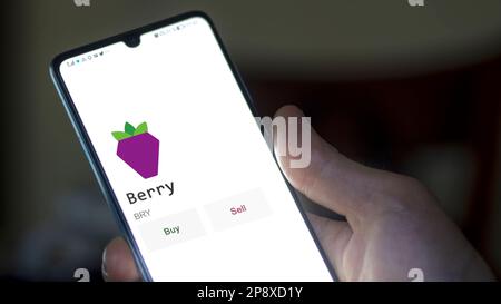 Ein Investor analysiert die Berry-Münze auf dem Bildschirm. Ein Telefon zeigt die Preise der Kryptos für die Investition in Ampere-Token an. Stockfoto