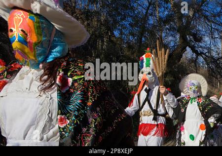 Mascaritas und Botargas. Karneval, Almiruete. Tamajon, Guadalajara Provinz, Region Kastilien-La Mancha, Spanien Stockfoto