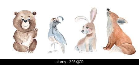 Ein Set süßer Waldtiere. Bär, Wachtel, Hase und Fuchs isoliert auf weißem Hintergrund. Handgezeichnete Aquarell-Illustration. Stockfoto