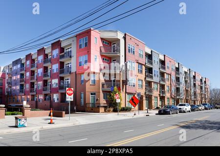 CHARLOTTE, NC-5. MÄRZ 2023: Bezirk Noda. Der Mercury Apartmentkomplex. Stockfoto