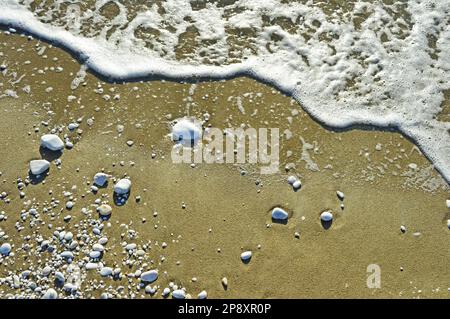 Meeresschaum und weiße Kieselsteine unterschiedlicher Größe auf dem nassen Sand am Ufer des Ligurischen Meeres bei Pisa in Italien Stockfoto