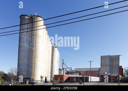 NEWTON, NC, USA=5. MÄRZ 2023: Getreidesilos für Wayne Farms Feed Mill in der Innenstadt. Stockfoto