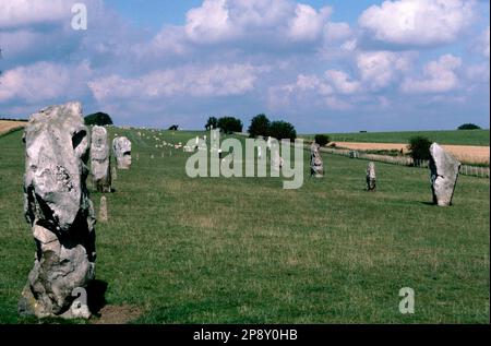 Avebury Stone Circle, Wiltshire, England Stockfoto