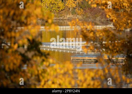 Calgary, Alberta, Kanada – der Glenmore Reservoir mit seinen Herbstblättern und den Docks Stockfoto