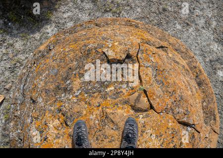 Auf einem der Felsen in Red Rock Coulee, Alberta, Kanada, im County of Forty Mile Stockfoto