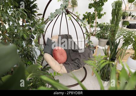 Komfortabler Eierstuhl und wunderschöne Zimmerpflanzen im Zimmer. Lounge-Bereich innen Stockfoto